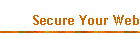 Secure Your Web
